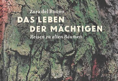 Lesung von Zora del Buono aus «Gotthard»