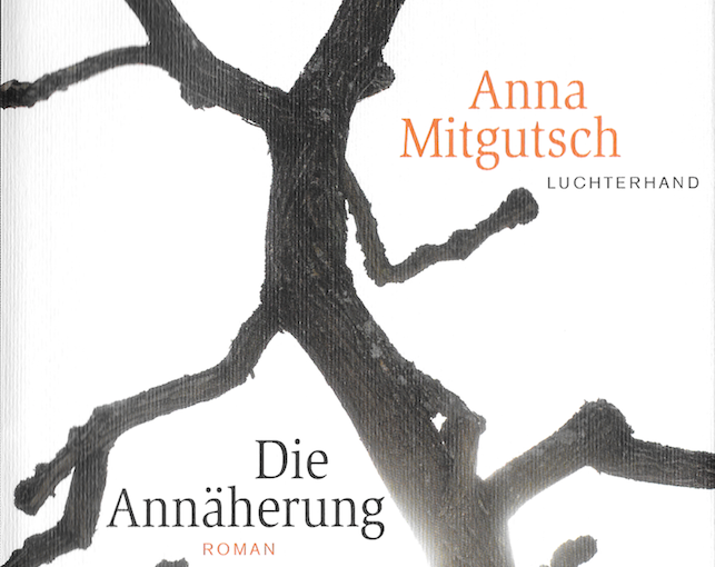 Anna Mitgutsch «Die Annäherung», Luchterhand