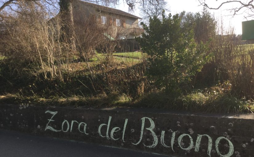 Zora del Buono in Amriswil, «Hinter Büschen, an eine Hauswand gelehnt»
