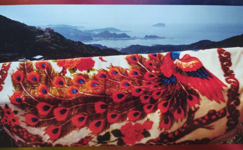 Alice Grünfelder „Postkarten aus Taiwan“ VII